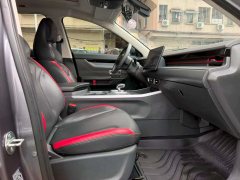 2024 Jetour Dasheng 2024 1.5T AT DCT star shinePRO #4