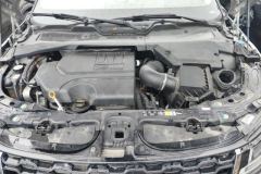 2022 Land Rover Range Rover Evoque 2021 2.0T AT auroraL 200PS R-Dynamic Standard Elite #10