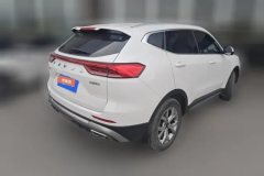 2022 Haval H6 2021 1.5T AT China tideChampion #3