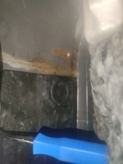 Left Front Floor Sound Seal
