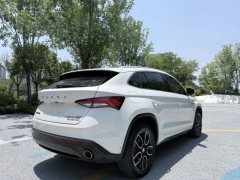2019 Škoda Kodiaq GT 2019 2.0T AT TSI380Luxury 4WD China V #9