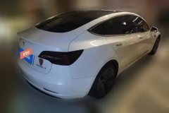 2020 Tesla Model 3 2020 Facelift StandardBattery lifeRWDUpgradeEdition EV #3