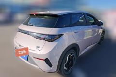 2025 BYD Dolphin 2025 Smart Drive 420km freeEdition #3
