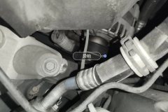 Engine Belt