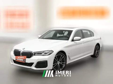 2022 BMW 5 Series 2021 2.0T AT 530Li Leading MSport PkgFacelift