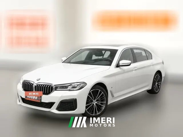 2022 BMW 5 Series 2021 2.0T AT 530Li Leading MSport PkgFacelift