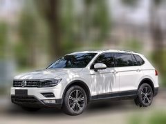 2019 Volkswagen Tiguan L 2018 2.0T AT 380TSILuxury 4WD Facelift #1