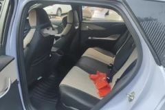 2023 BYD Dolphin 2023 420km Fashion #11