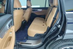 2025 GAC Trumpchi Trumpchi GS8 2025 PilotSeries 2.0TGDI AT 2WDLuxury 5Seat #11