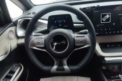 2026 BYD Dolphin 2025 Smart Drive 420km freeEdition #15