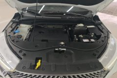 2021 Haval M6 2021 1.5T AT DCTEliteSmart ConnectPLUS #10