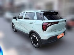 2023 Geometry E Firefly 2024 301km starlight #7