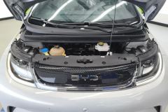 2022 BYD Dolphin 2021 405km Fashion #10