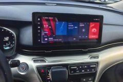 2021 Roewe iMAX8 2021 2.0T AT 400TGISupremeSeriesHonor #13
