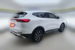 2023 Haval H6 2021 1.5T AT China tideUrbanEdition #3