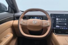 2025 Dongfeng Fengshen Dongfeng Fengshen L8 2025 185KMdreamEdition #15