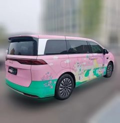 2025 BYD Xia 2025 DM-i 1.5T AT 180km excellence #6