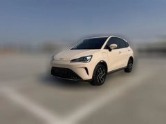 2023 Neta AYA 2023 401 Lite #1