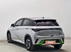 2022 BYD Dolphin 2021 405km Fashion #6
