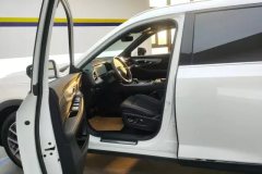 2024 GAC Trumpchi Trumpchi GS8 2025 PilotSeries 2.0TGDI AT 2WDLuxury 5Seat #9