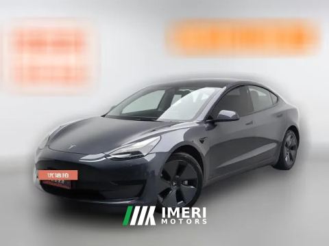 2021 Tesla Model 3 2021 StandardBattery lifeRWDUpgradeEdition 3D6