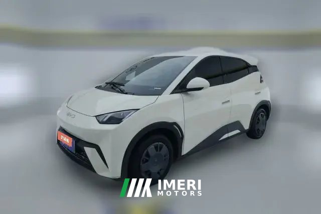 2025 BYD Seagull 2025 305km vitalityEdition