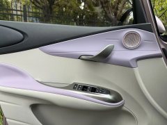 2022 BYD Dolphin 2021 405km Fashion #13