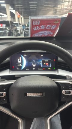 2025 Haval H6 2024 1.5T AT 2WDClassic #15