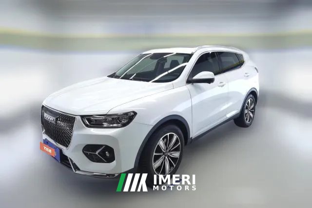 2020 Haval H6 2021 1.5T AT Champion