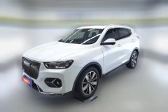 2020 Haval H6 2021 1.5T AT Champion #1