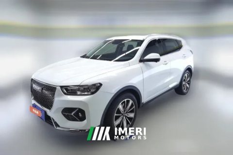 2020 Haval H6 2021 1.5T AT Champion