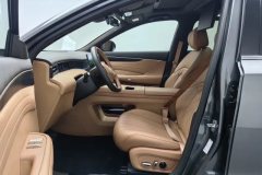 2025 Dongfeng Fengshen Dongfeng Fengshen L8 2025 185KMdreamEdition #13
