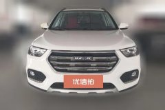 2021 Haval H6 2021 1.5T AT SportEliteSmart Connect6Side grille #2