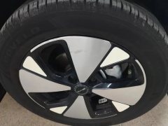 2023 BYD Dolphin 2024 Glory 302km vitalityEdition #4