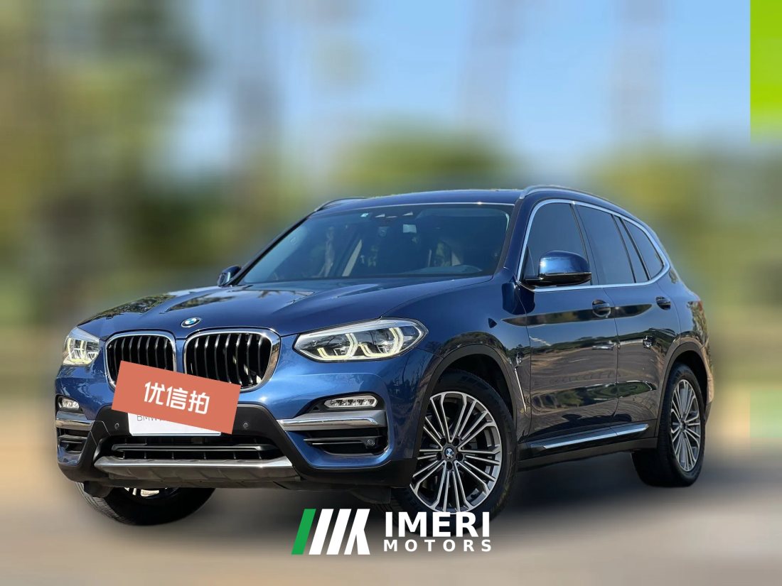 2019 BMW X3 2018 2.0T AT 28i Luxury Pkg China VI