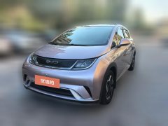 2022 BYD Dolphin 2021 405km Fashion #1