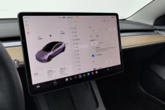 2021 Tesla Model 3 2021 StandardBattery lifeRWDUpgradeEdition #16