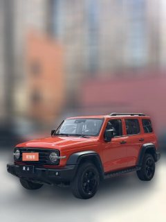 2022 Tank 300 2021 Off-road 2.0TAT conqueror #4