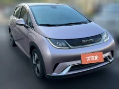 2024 BYD Dolphin 2024 Glory 420km Fashion #3