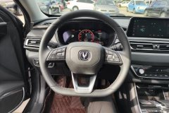 2022 Chang'an Ruicheng CC 2022 AT Blue WhaleEdition 1.5T DCTPremium #15