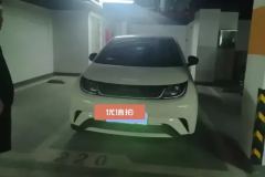 2023 BYD Dolphin 2023 420km Fashion #2