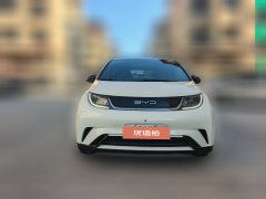 2024 BYD Dolphin 2023 420km freeEdition #3