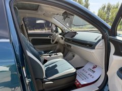 2022 Ora Good Cat 2022 AT 400kmStandardBattery life Luxury LFP #19
