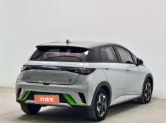2022 BYD Dolphin 2021 405km Fashion #4