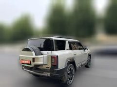 2024 Fangchengbao Bao8 2025 ZhiyongFlagship 7Seat #2