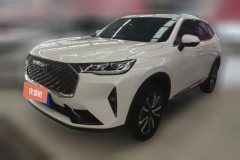 2025 Haval H6 2024 1.5T AT 2WDClassic #1