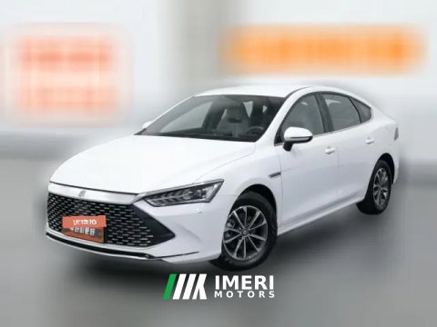 2024 BYD Qin Plus 2024 Glory 1.5L AT DM-i 55KMLeading