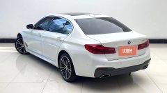2020 BMW 5 Series 2020 2.0T AT 530LiLeadingMSport Pkg #10