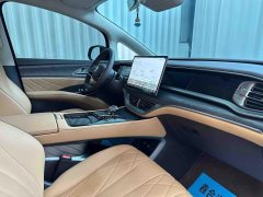 2023 Denza D9 2022 1.5T AT DM-i 970 4WDHonor #6