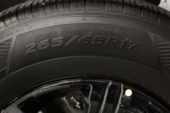 2022 Tank 300 2021 Off-road 2.0TAT conqueror #9